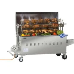 Tepro Gasgrill Columbus Für Spanferkel Inkl. Motor Edelstahl Mit 2 Brennern -Grill und Flamme 2083137 picture 3