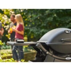 Weber Gasgrill Q 2200 Mit 1 Brenner Und Standgestell Schwarz 13 Weber Gasgrill Q 2200 Mit 1 Brenner Und Standgestell Schwarz -Grill und Flamme 2567618 AB01