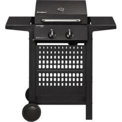 Enders® Gasgrill San Diego Next 2 Mit 2 Brennern Schwarz -Grill und Flamme 4000591007491 3795 S 07 1