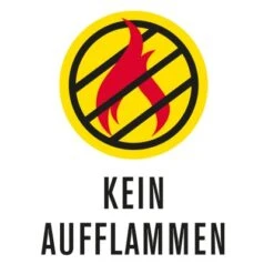 Char-Broil Gasgrill Professional Core B 2 Brenner & TRU-Infrared-System -Grill und Flamme 6970032 AI02 1