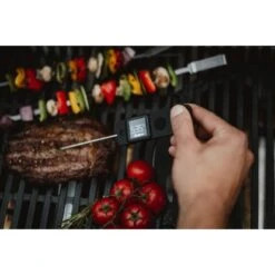 Enders Premium Einstechthermometer 9 Enders Premium Einstechthermometer -Grill und Flamme 701738 3795 5