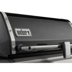 Weber Gasgrill Genesis II EX-315 3 Brenner GBS Schwarz 18 Weber Gasgrill Genesis II EX-315 3 Brenner GBS Schwarz -Grill und Flamme 8795866 CU02