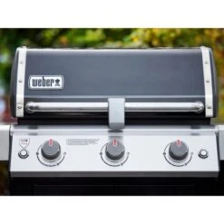 Weber Gasgrill Genesis II EX-315 3 Brenner GBS Schwarz 15 Weber Gasgrill Genesis II EX-315 3 Brenner GBS Schwarz -Grill und Flamme 8795866 CU05