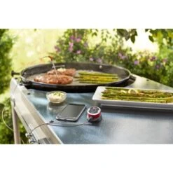 Weber Bluetooth-Thermometer Und Timer IGrill Mini Mit Einem Messfühler -Grill und Flamme s 7220 iGrillMiniLifestyle